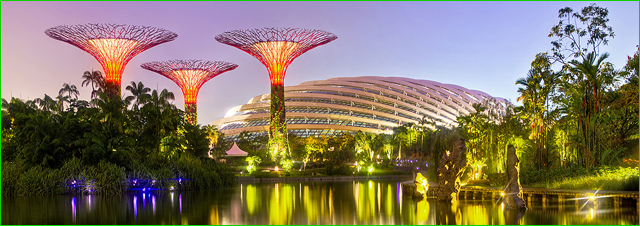gardens-by-the-bay-singapor